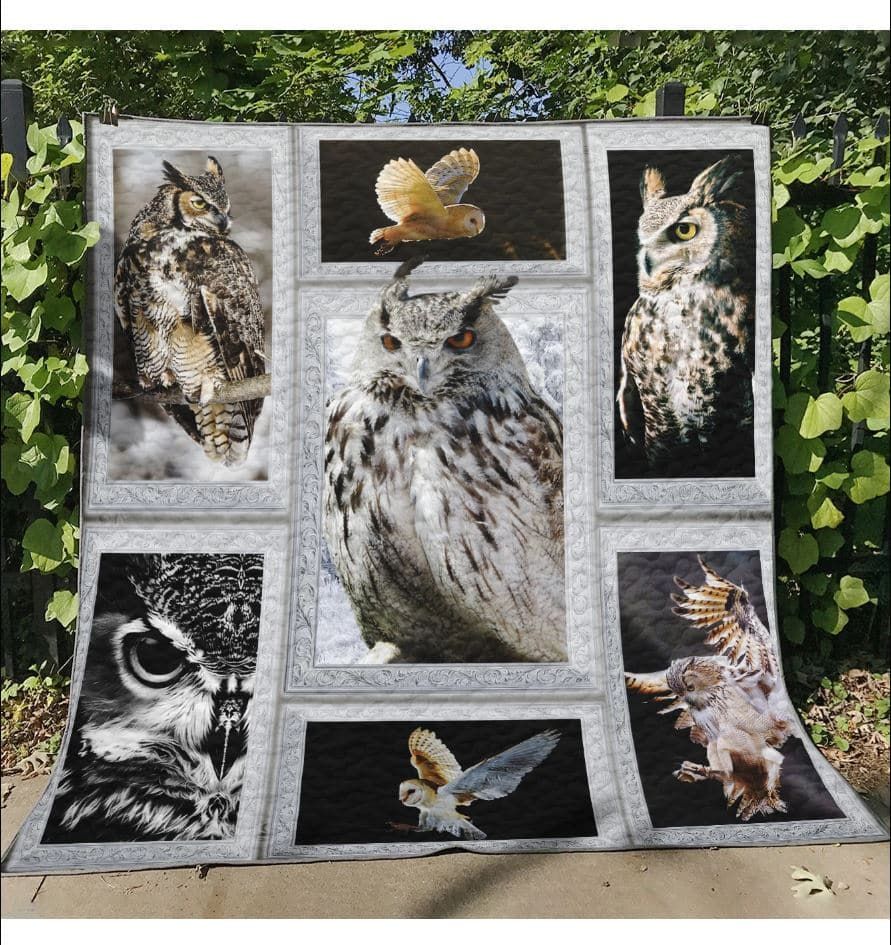 Mp0212 Owl Show Me The Way Quilt Dhc16122283Dd