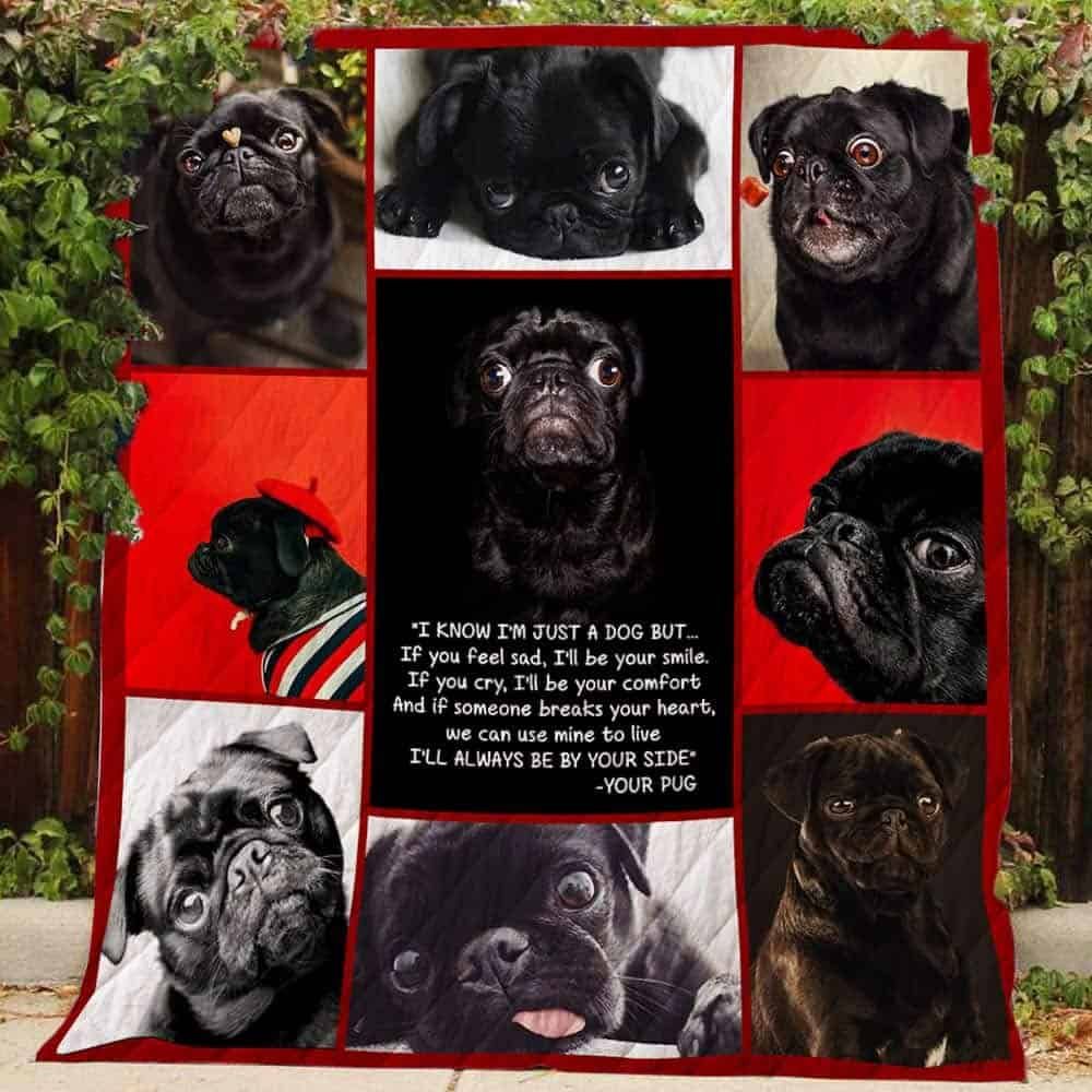 Mp1007 Pug Im Just A Dog Quilt Dhc16122971Dd