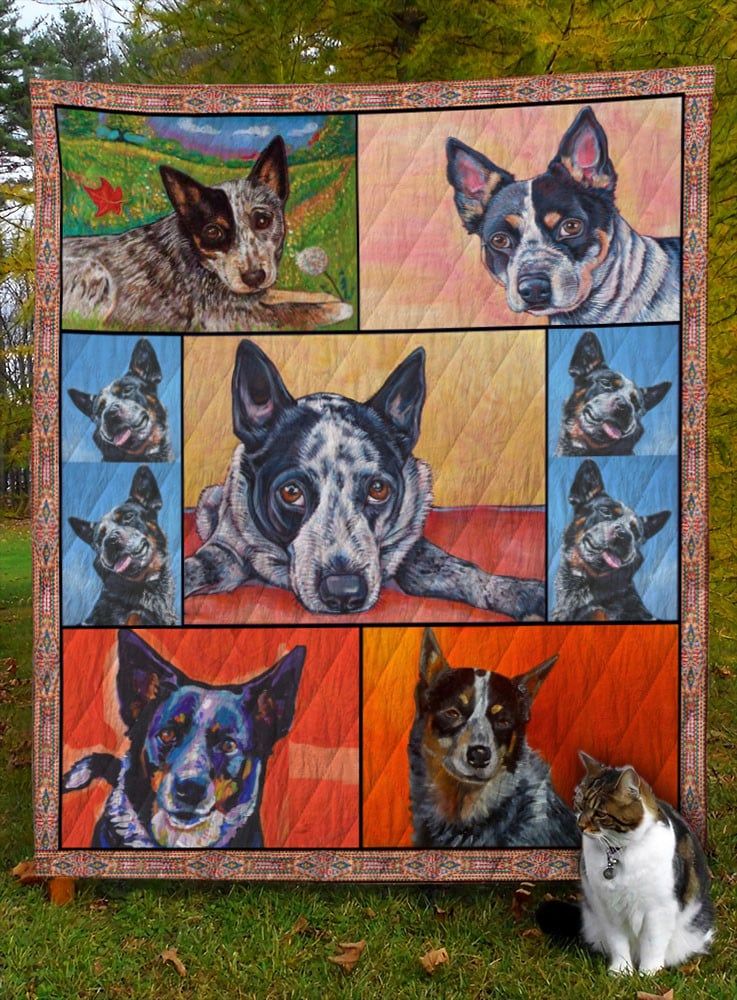 Mp1009 Australian Cattle Dog Beautiful Blue Heeler Quilt Dhc16124542Dd