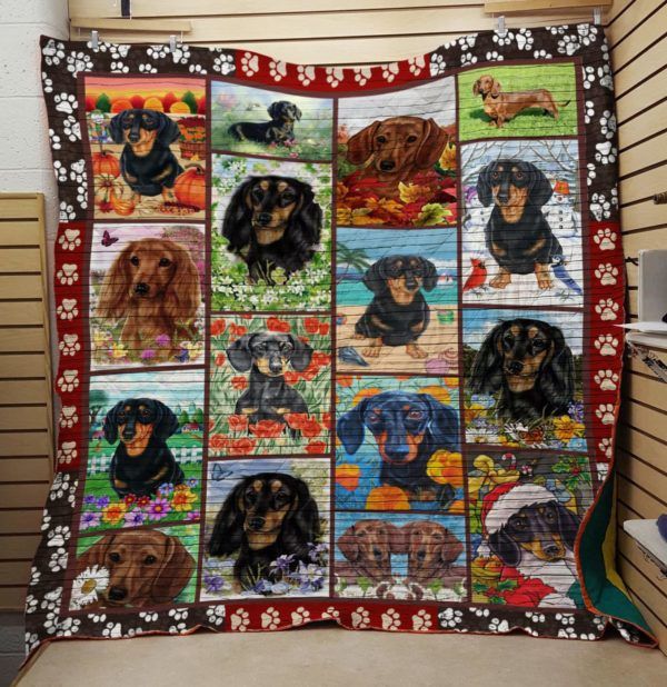 Mp1405 Dachshund Dachshund Weather Quilt Dhc16122566Dd