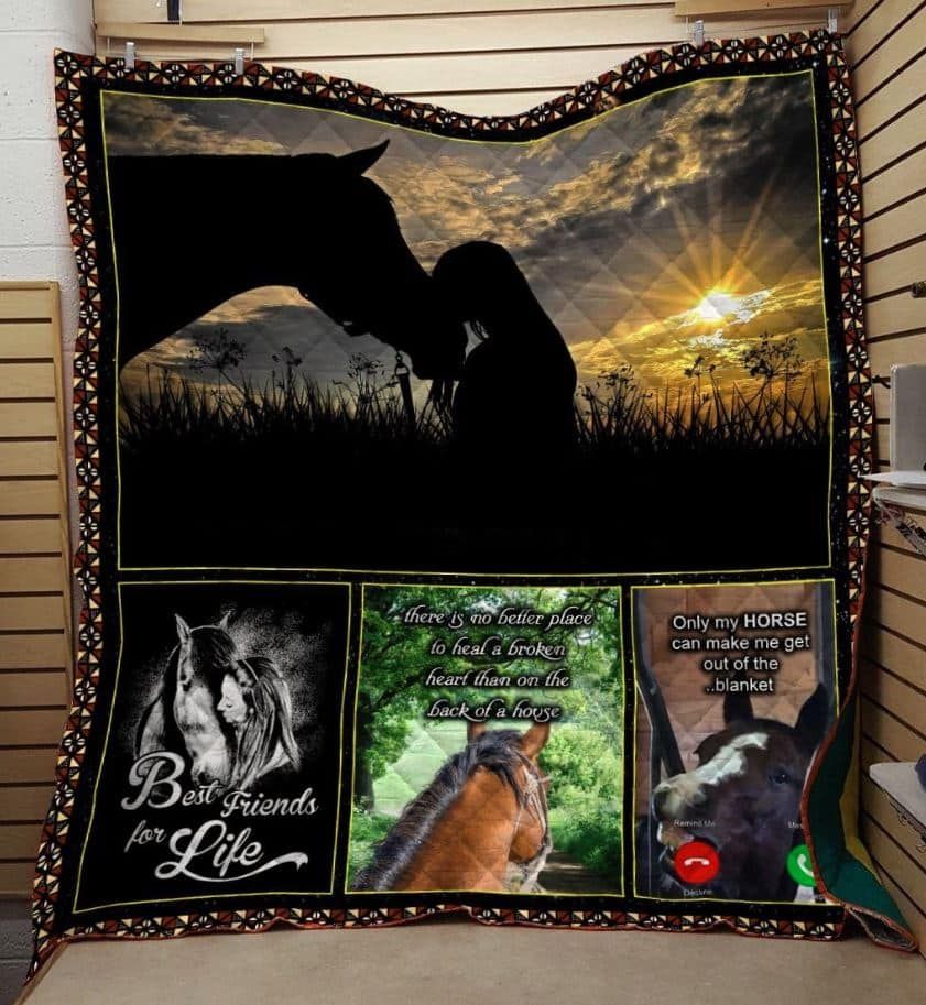 Mp1611 Horse Best Friend For Life Quilt Dhc16123865Dd