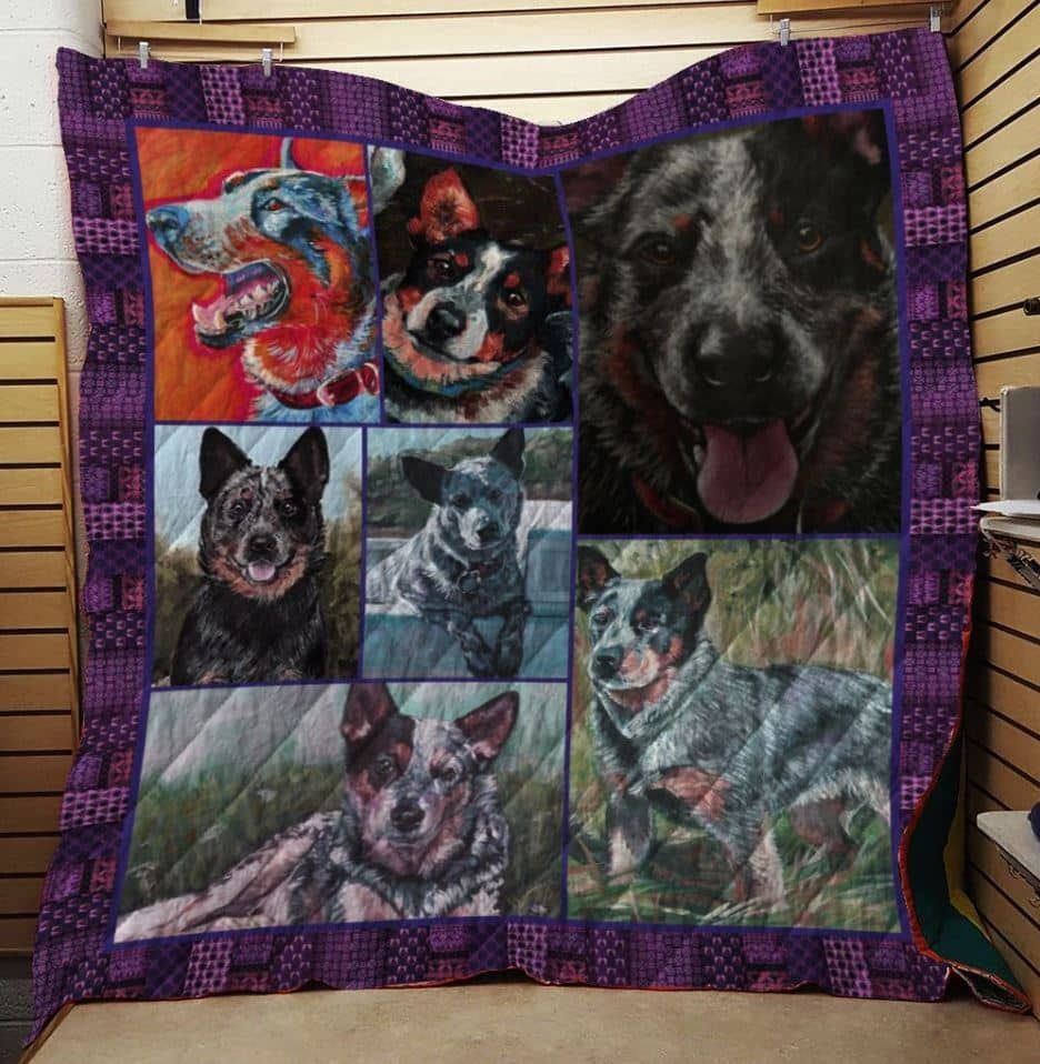 Mp2310 Australian Cattle Dog Loyal Love Quilt Dhc16124406Dd