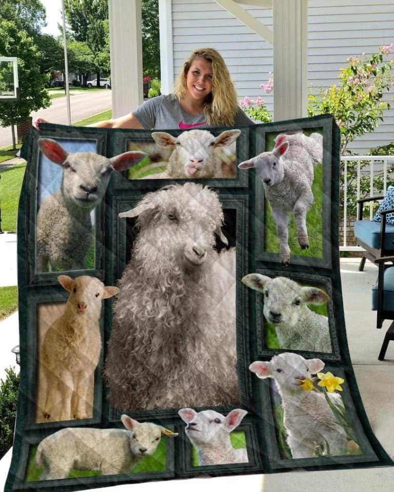 Mp2311 Sheep Sheep In Farm Quilt Dhc16123527Dd