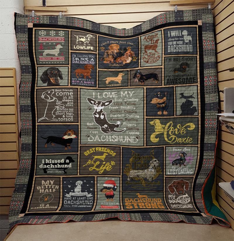 Mp2608 Dachshund Kissed A Dachshund Quilt Dhc16123750Dd