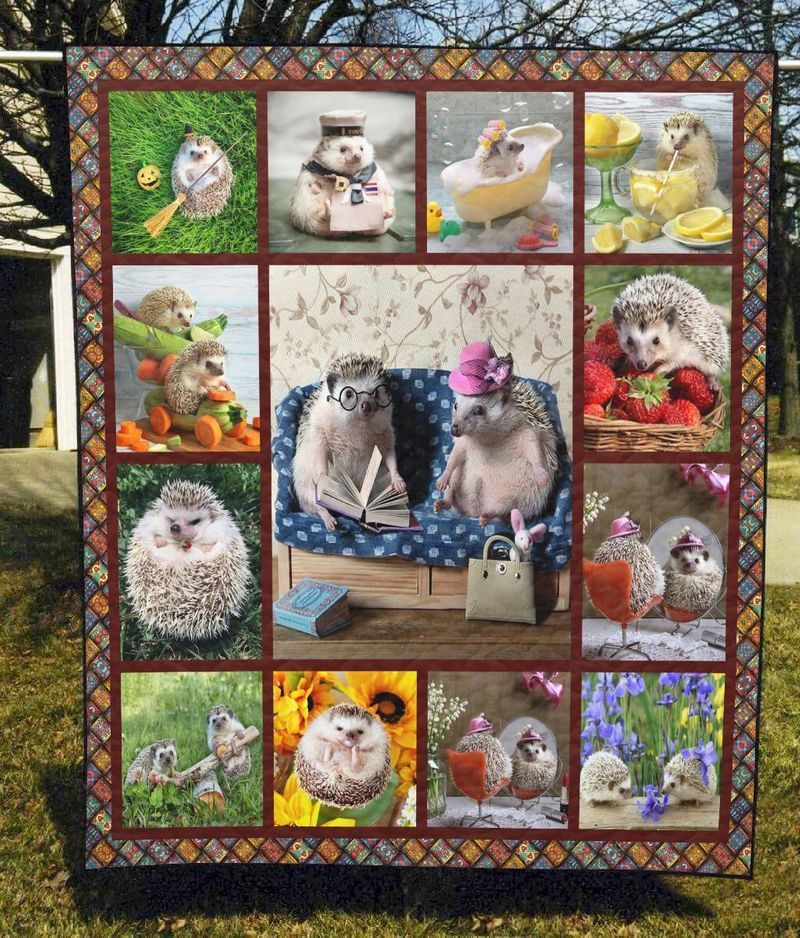 Mp2611 Hedgahog A Day Of Hedgehog Quilt Dhc16122383Dd