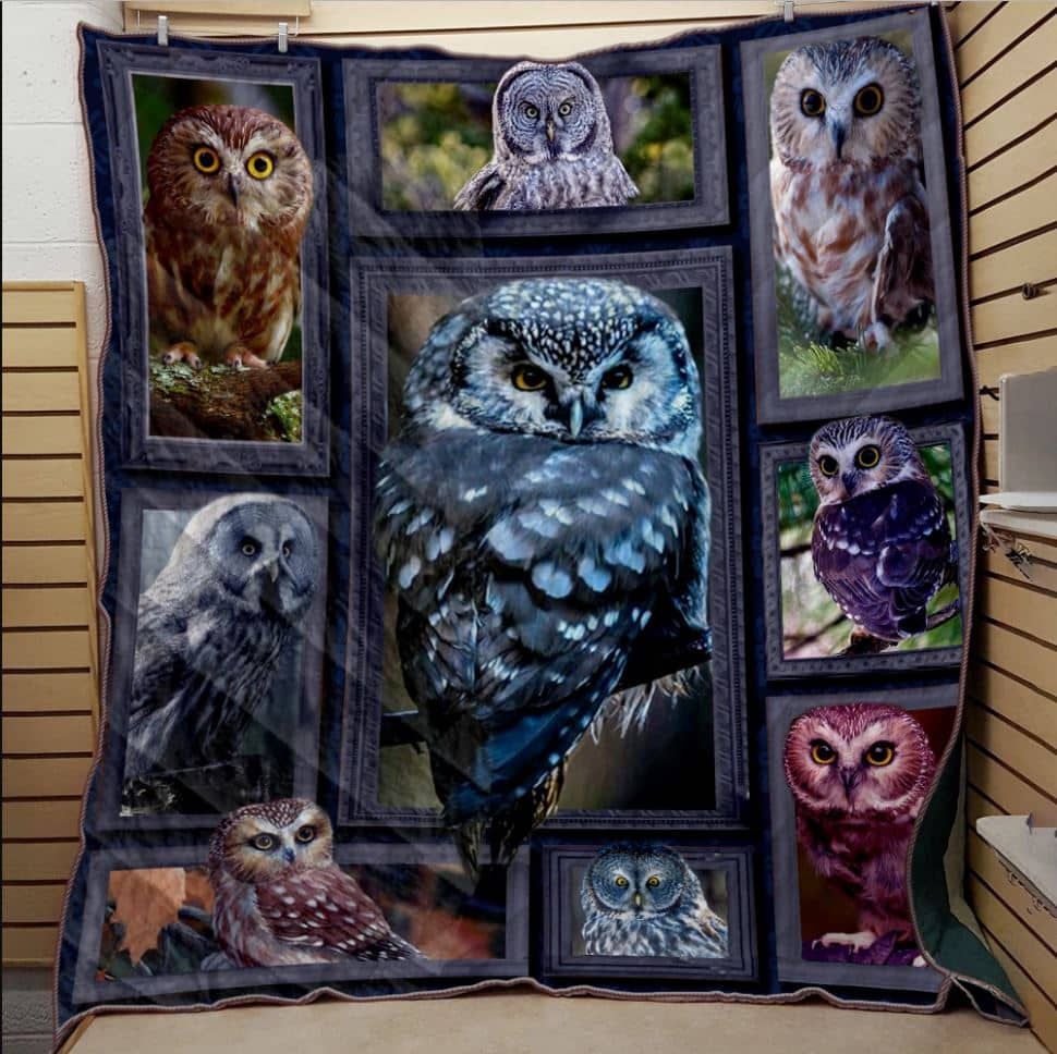 Mp2611 Owl The Beautiful Night Quilt Dhc16122378Dd