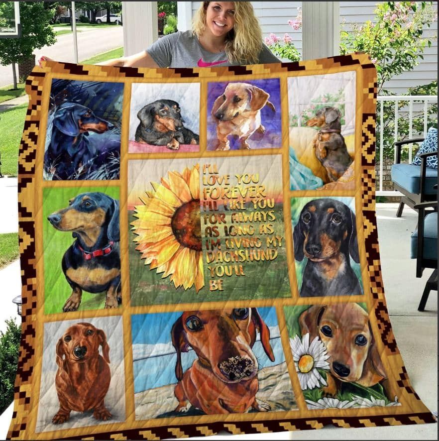 Mp2708 Dachshund Love You Forever Quilt Dhc16124843Dd