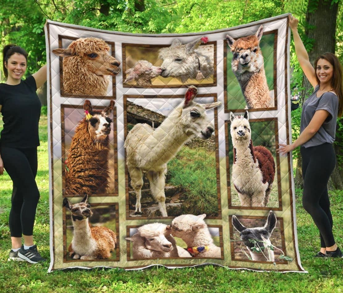 Mp2709 Llama Llama Family Quilt Dhc16123125Dd