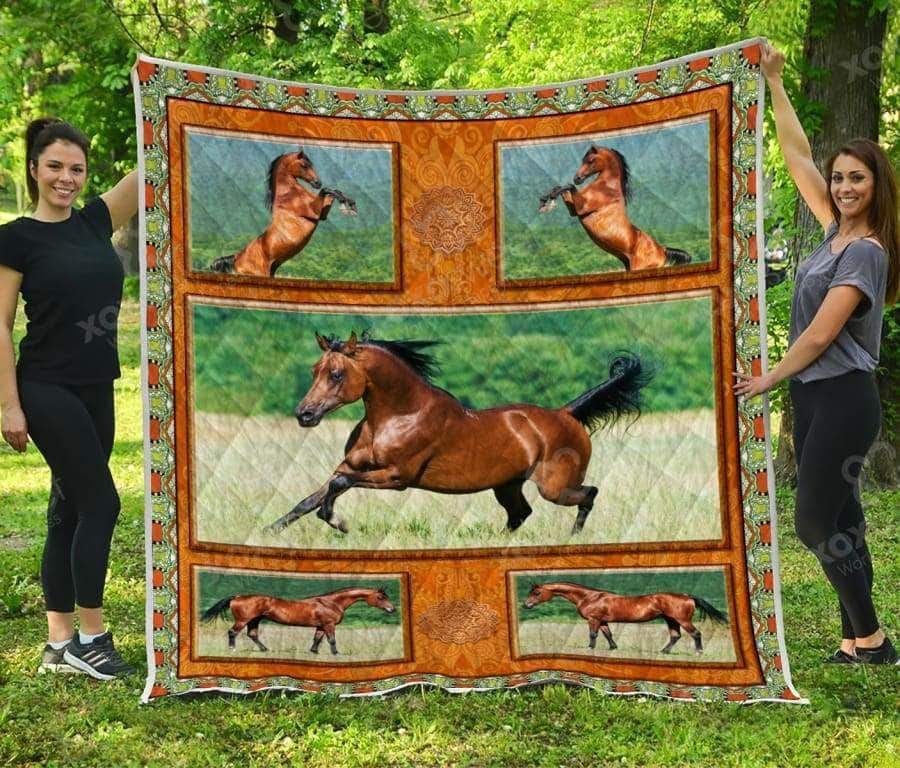 Mp2811 Horse Arabian Horse Quilt Dhc16122365Dd