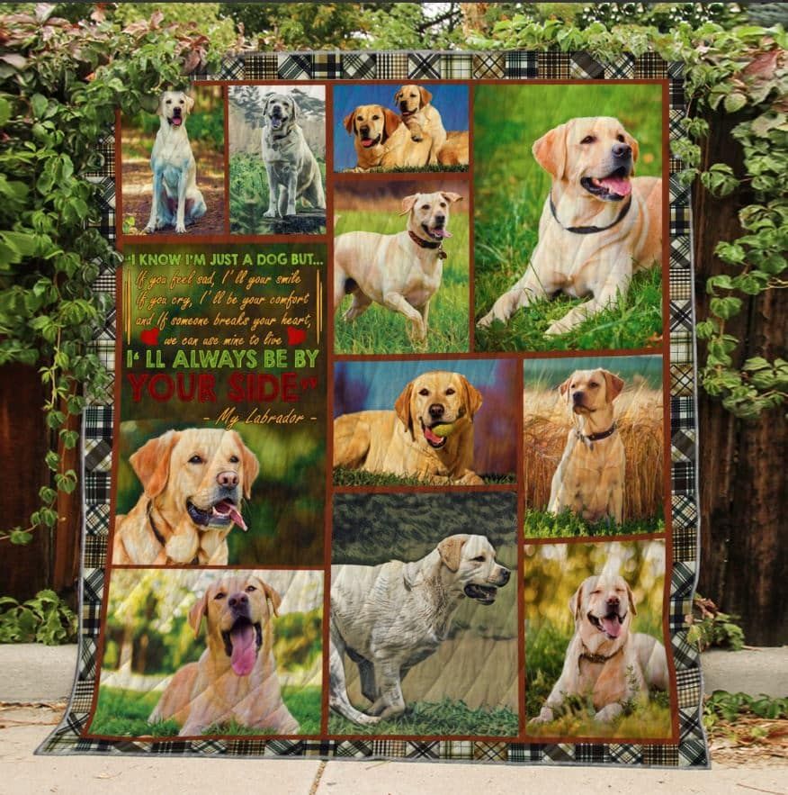 Mp3008 Labrador Retriever Just A Dog Quilt Dhc16124749Dd