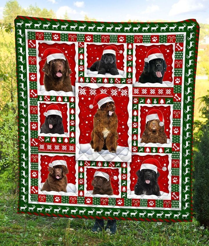 Newfoundland Christmas DTC2311726 Quilt Blanket