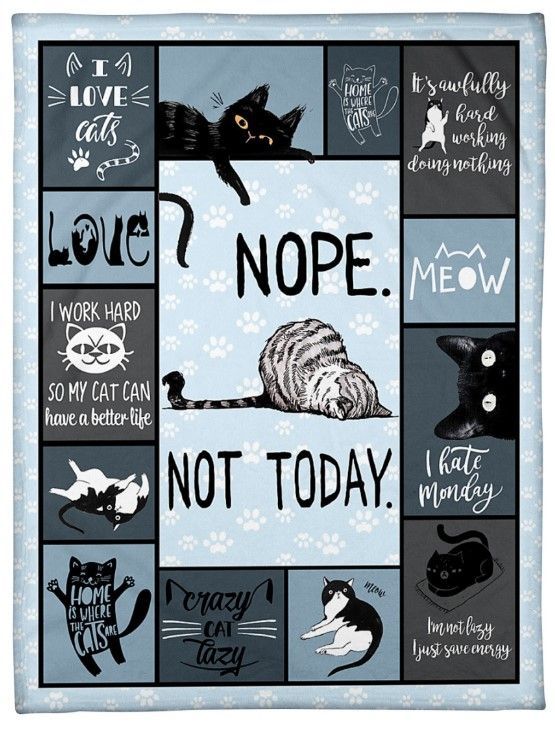 Nope Not Today Cats Sherpa Fleece Blanket