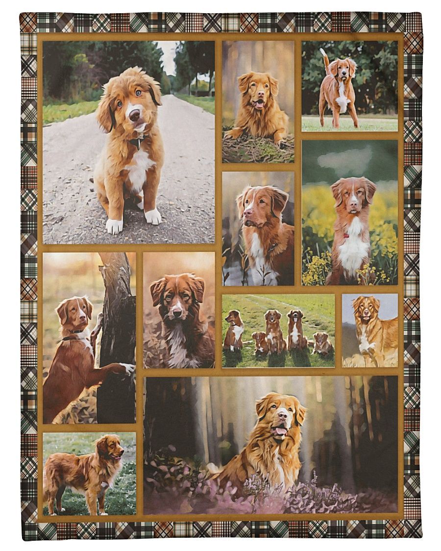 Nova Scotia Duck Tolling Retriever Cute Sherpa Fleece Blanket