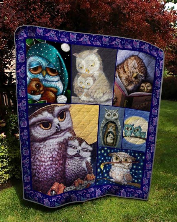 Owl Takin Back My Love Quilt Blanket DHC020120521TD
