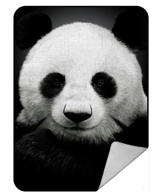 Panda Sherpa Fleece Blanket