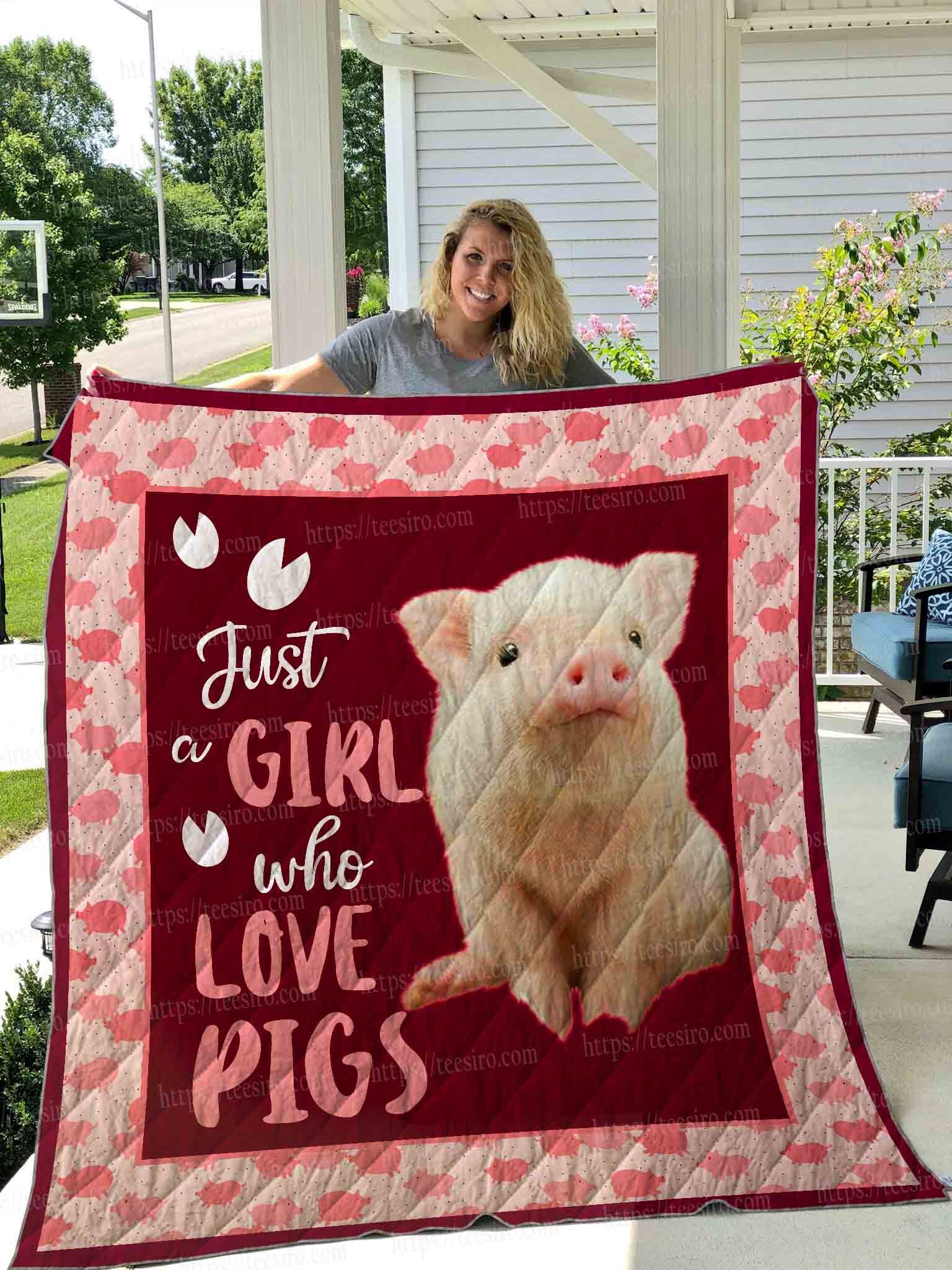 Pig Pink Pig In Red Quilt Blanket Dhc03011488Dd