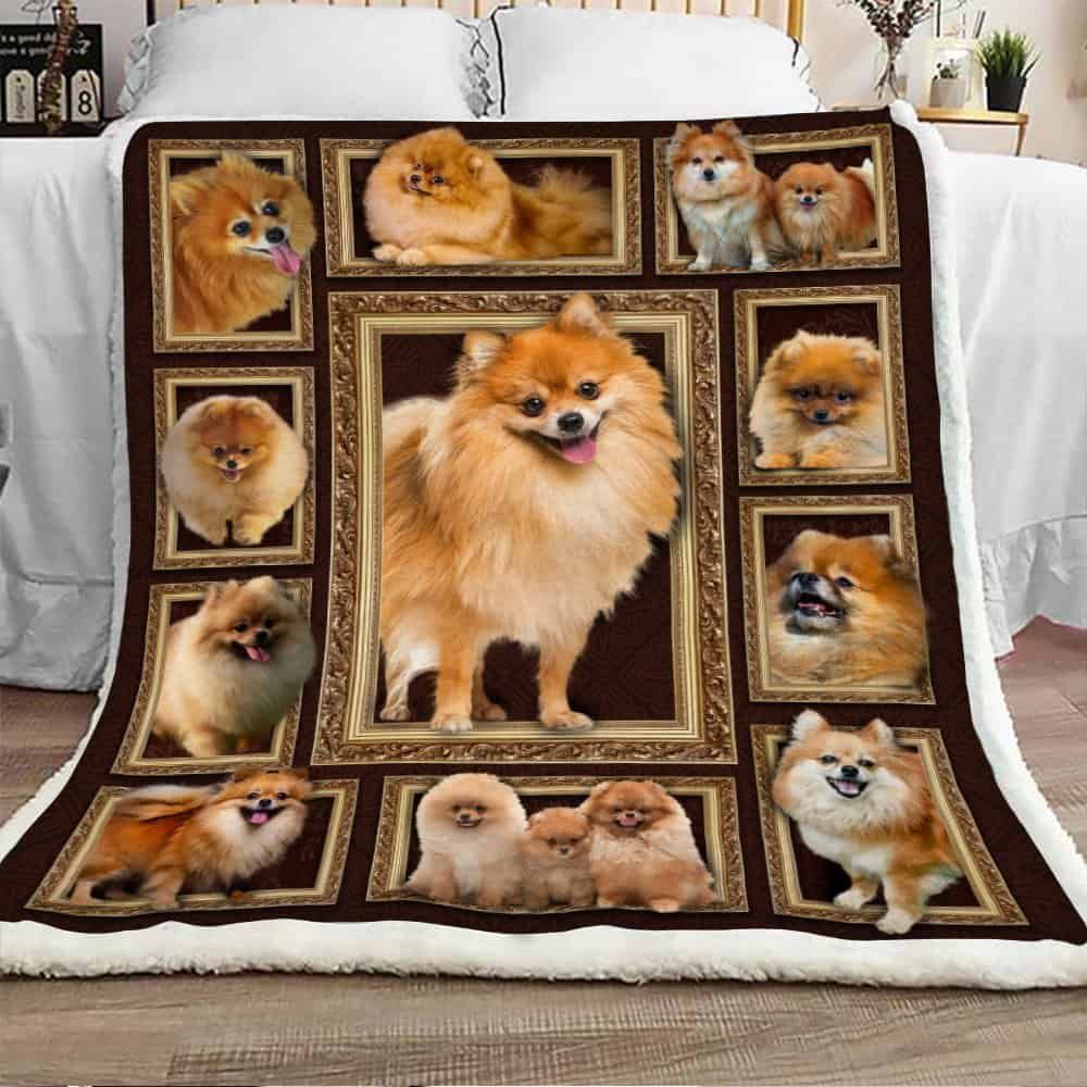 Pomeranian Dog Sherpa Fleece Blanket
