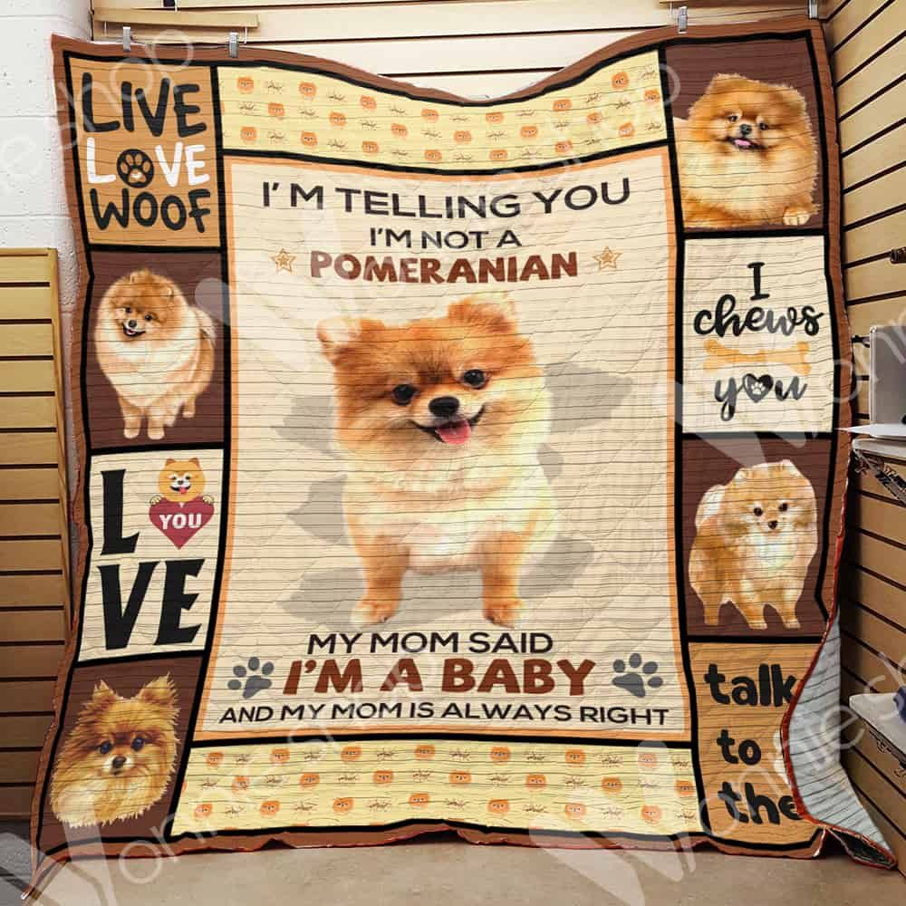 Pomeranian Dog Quilt Blanket DHC0602621TD