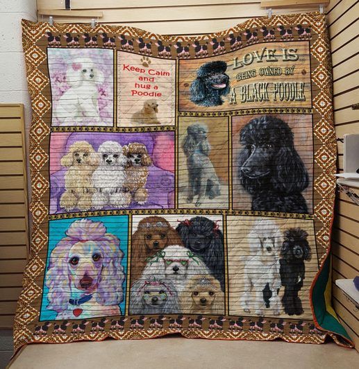 Poodle Fancy Dog Quilt Blanket DHC31121631TD