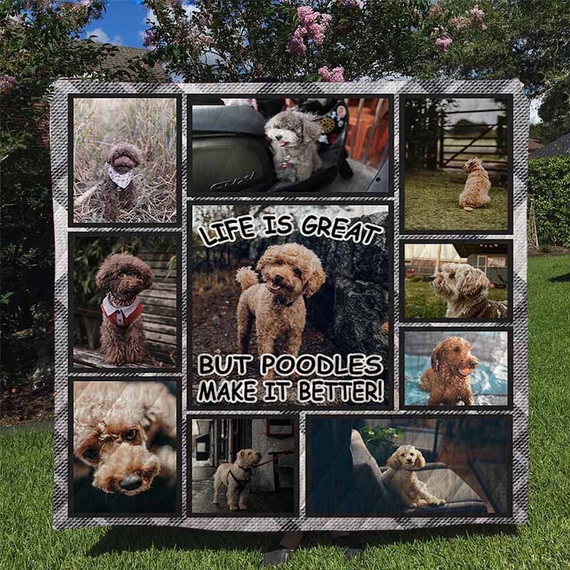 Poodles Quilt Blanket DHC170120703TD