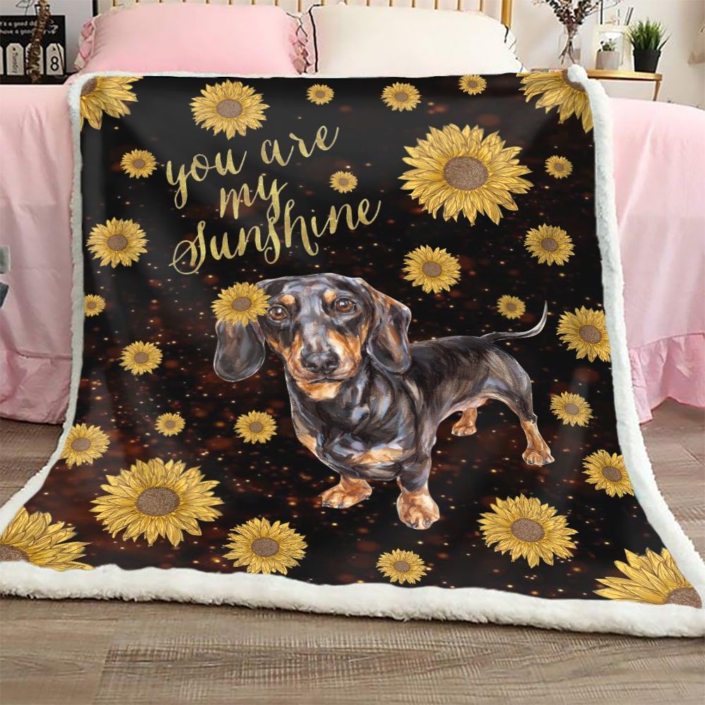 Pt0204 Dachshund My Dachshund Is My Sunshine Quilt Dhc16122561Dd