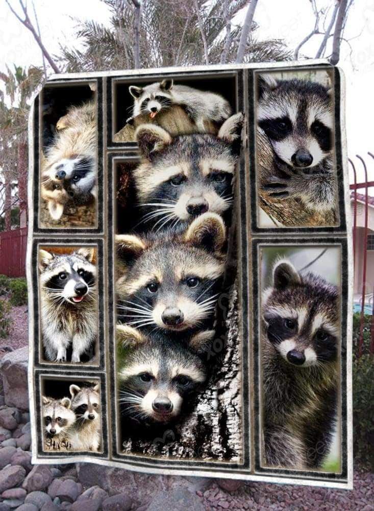 Raccoon Sherpa Fleece Blanket