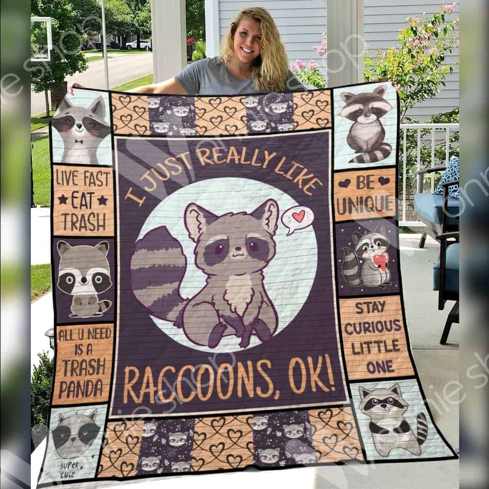 Raccoon I Just Really Like Raccoons GS-CL-LD0601 Quilt Blanket