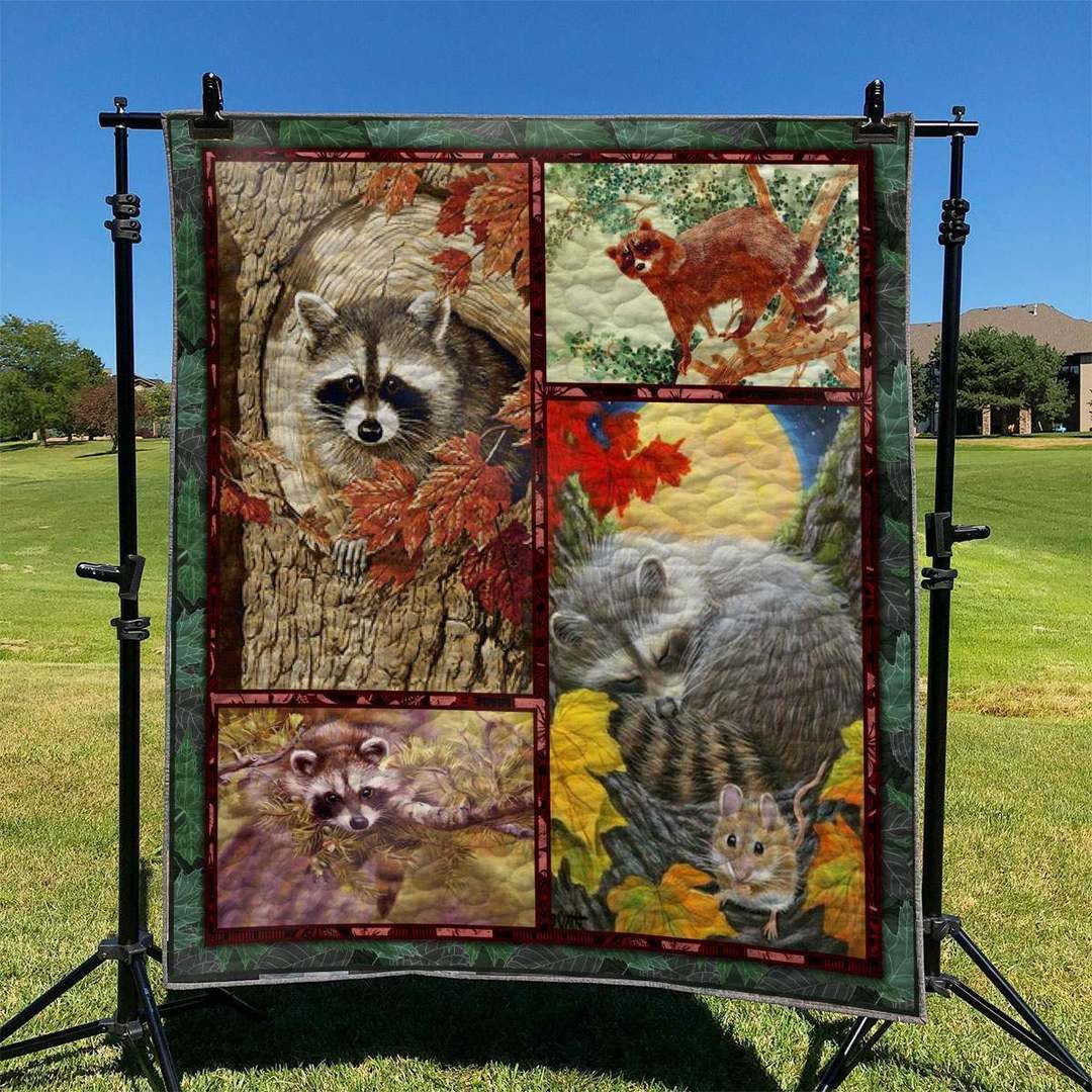 Raccoon TD2709562 Quilt Blanket