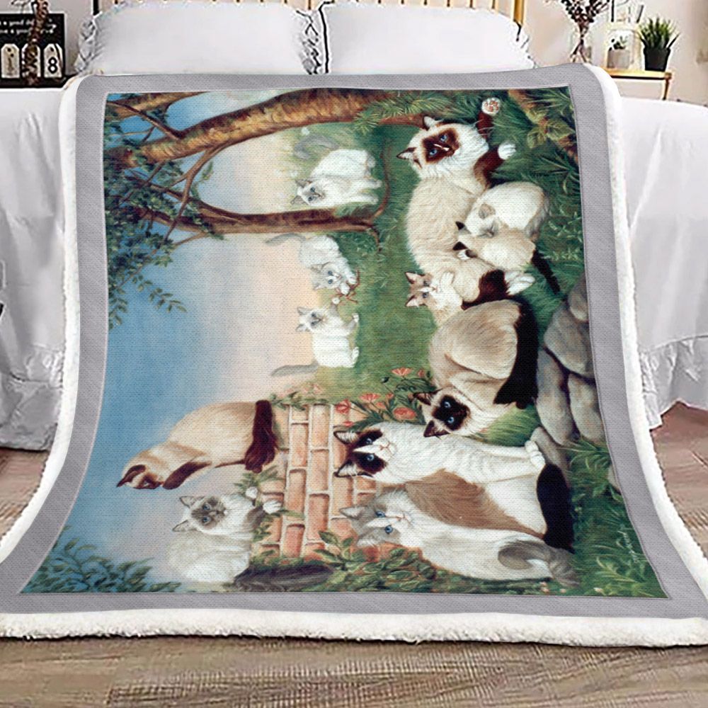 Ragdoll Cat Sherpa Fleece Blanket
