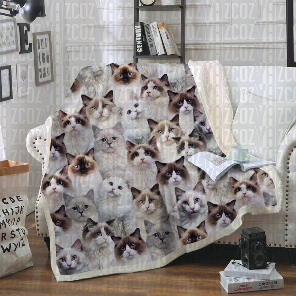 Ragdoll Cats Sherpa Fleece Blanket