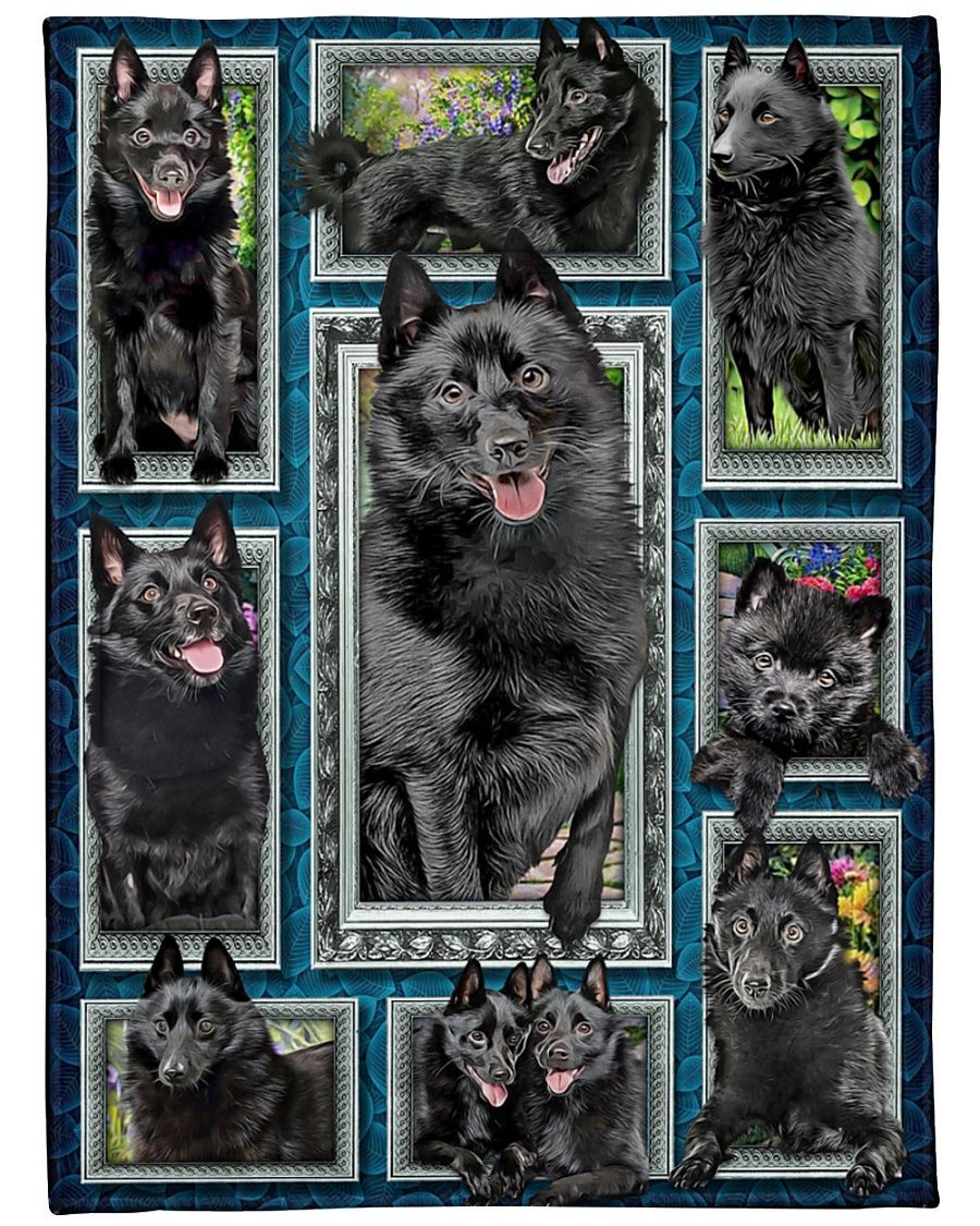 Schipperke Window Frames For Dog Lovers Sherpa Fleece Blanket