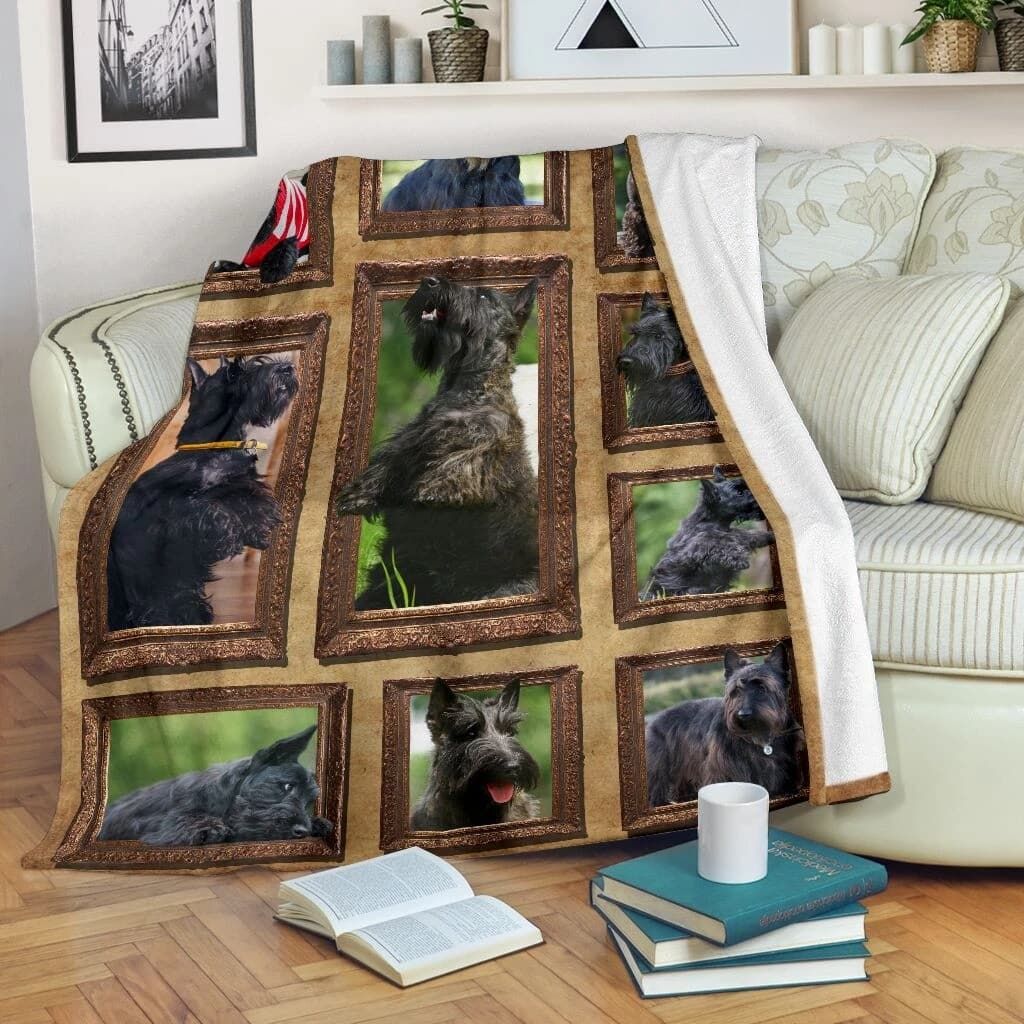 Scottish Terrier Cuti Black Dogs Quilt Blanket DHC31121790TD