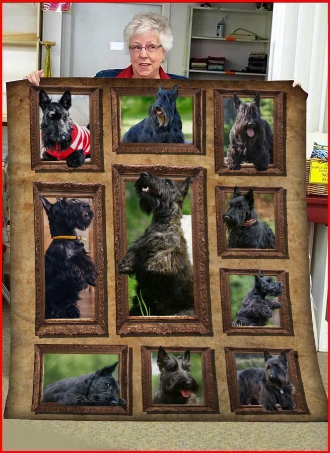 Scottish Terrier Pictures Sherpa Fleece Blanket