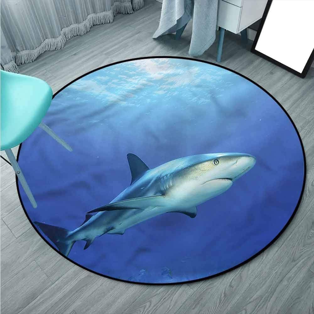 Shark Round Carpet