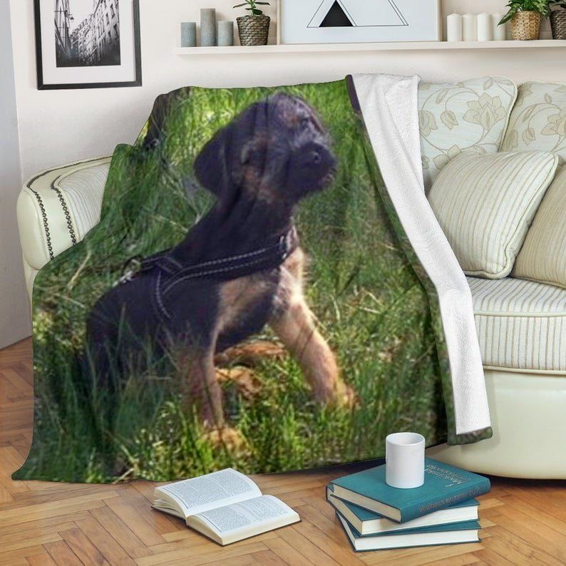 Silli Border Terrier Puppy Dog In Grass Sherpa Fleece Blanket