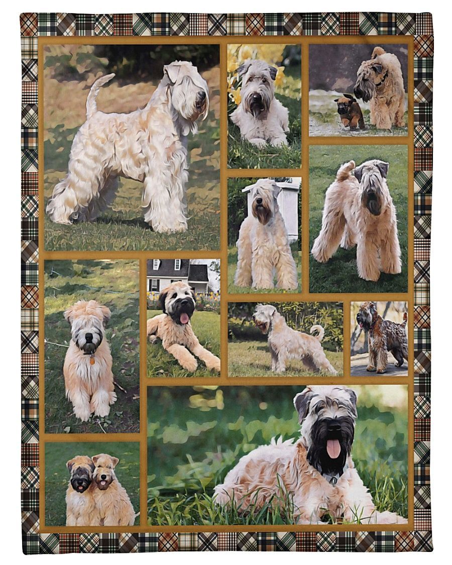Soft Coated Wheaten Terrier Cute Sherpa Fleece Blanket