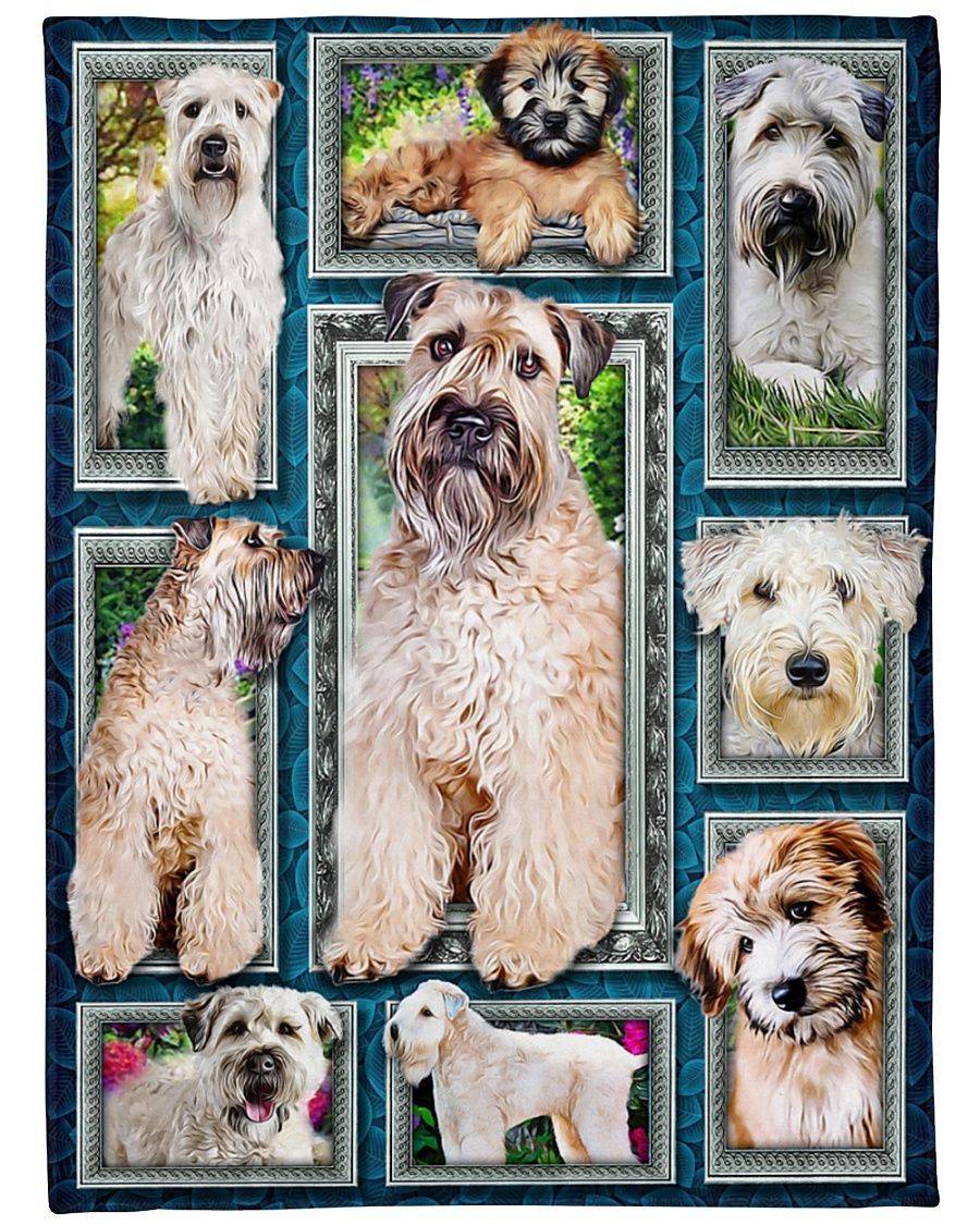 Soft-Coated Wheaten Terrier Window Frames Sherpa Fleece Blanket