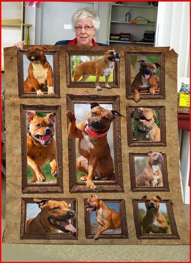 Staffordshire Bull Terrier Dog Sherpa Fleece Blanket