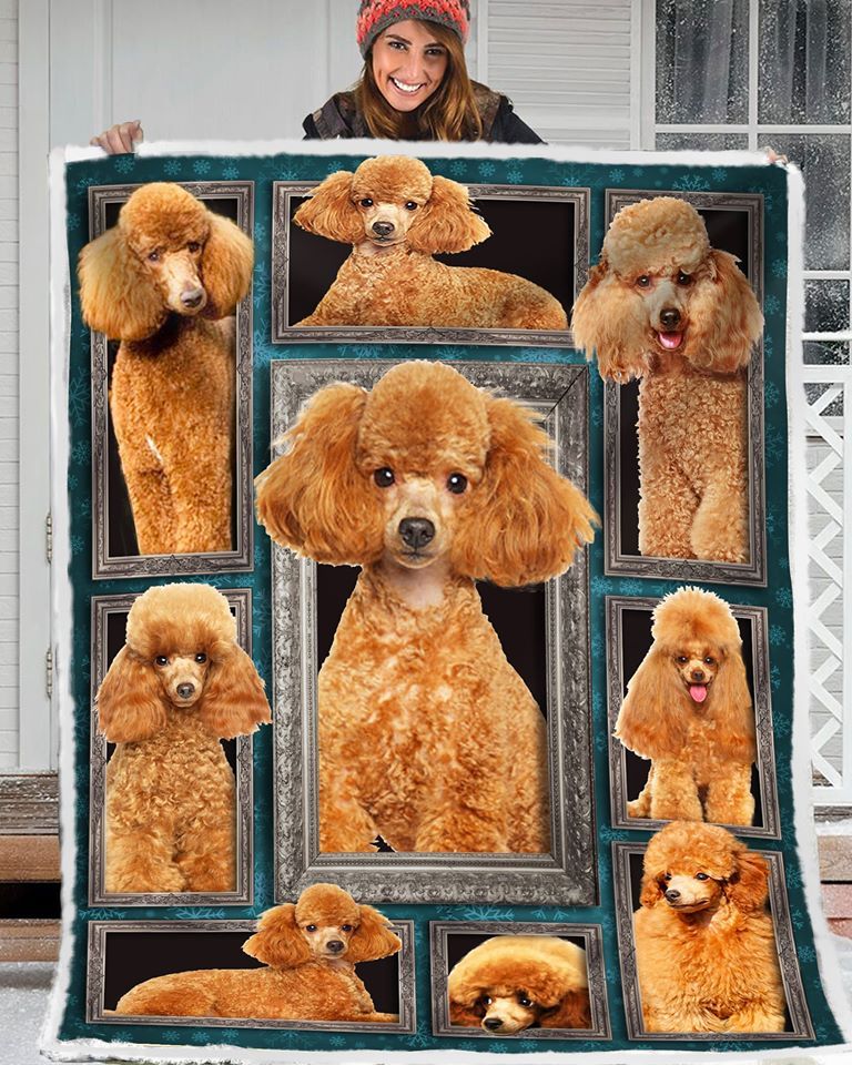 Standard Poodle Quilt Blanket DHC150120700TD