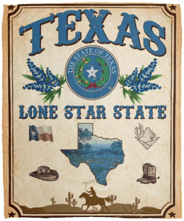 Texas Lone Star State Vintage Retro Sherpa Fleece Blanket