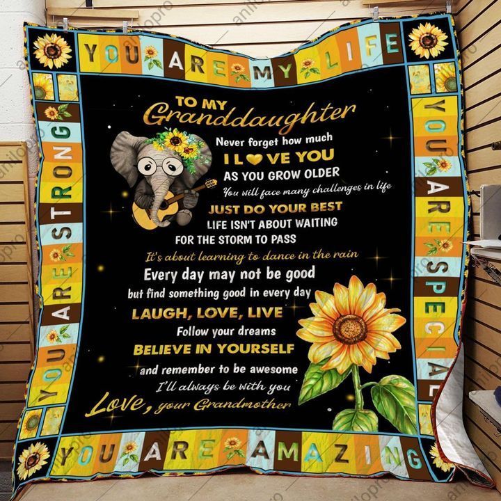 To My Granddaughter Elephant DTC2410244 Quilt Blanket