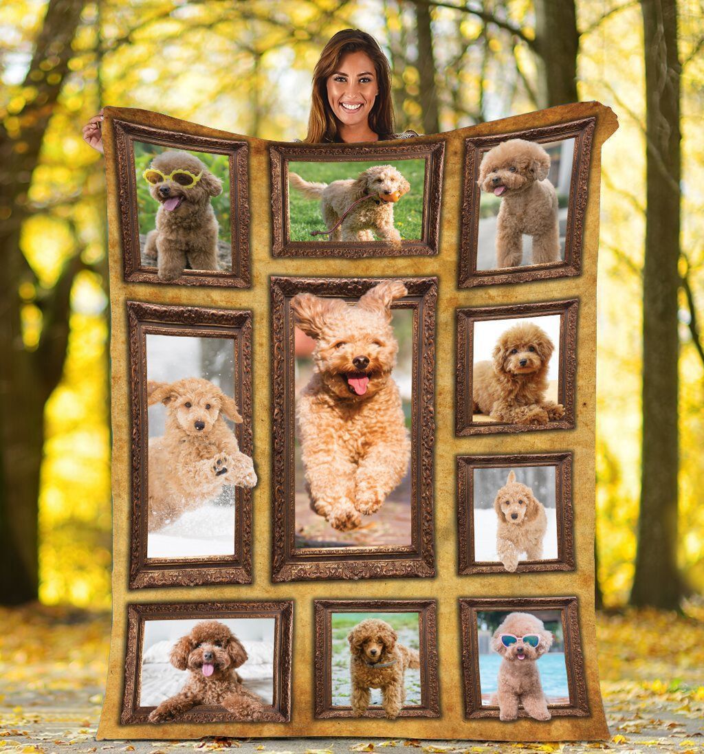 Toy Poodle Sherpa Fleece Blanket