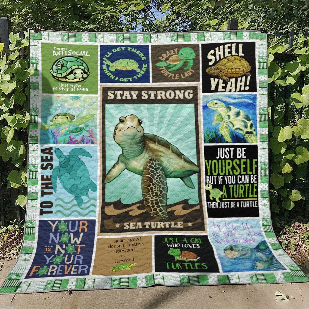 Turtle BT230727B Quilt Blanket
