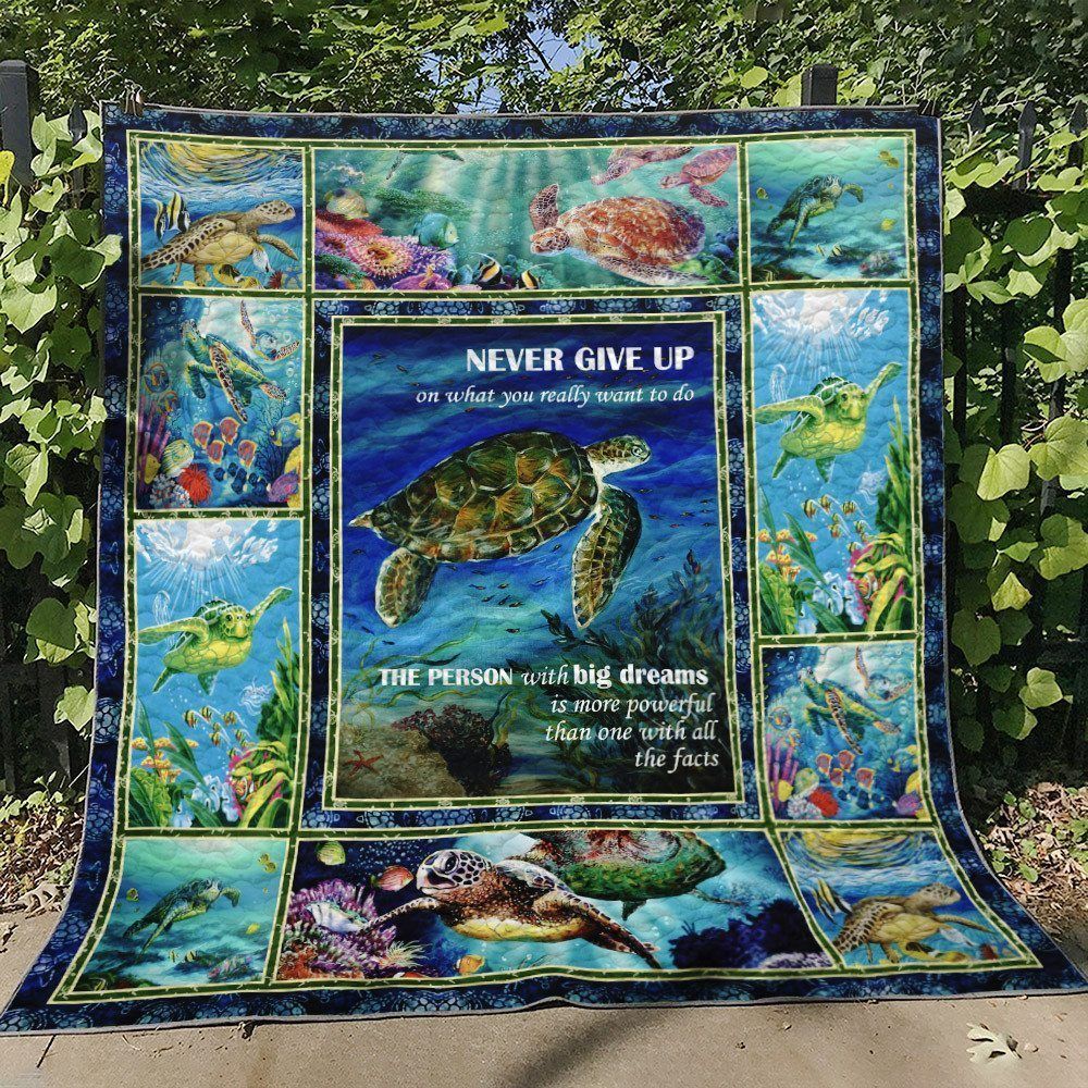 Turtle HN150727 Quilt Blanket