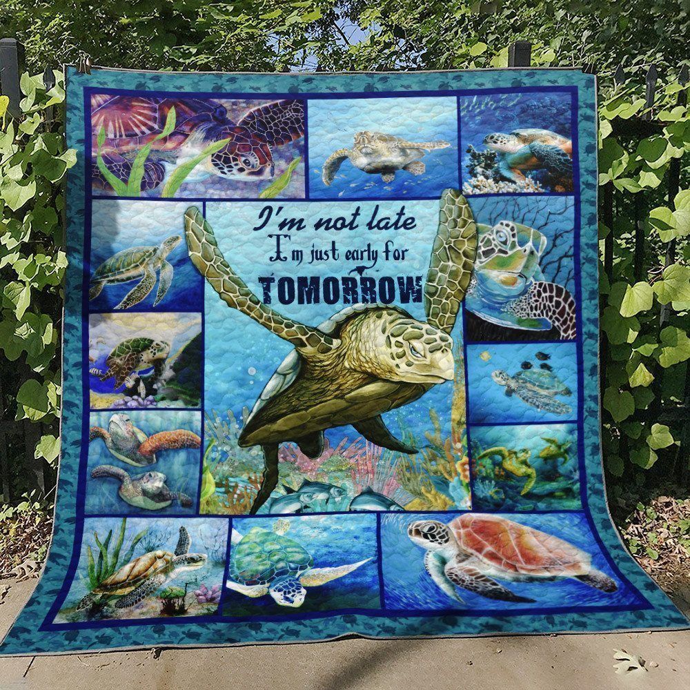 Turtle NN150728 Quilt Blanket
