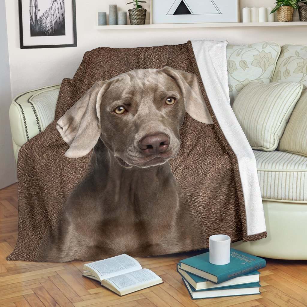 Weimaraner – Blanket – 1267