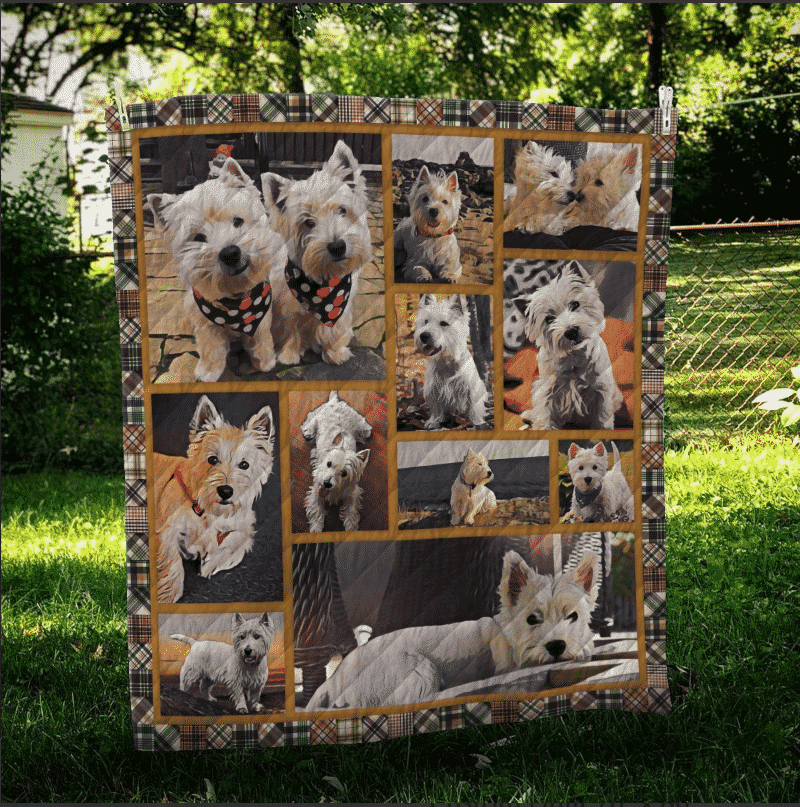 West Highland White Terrier Super Bowl Quilt Blanket DHC31121705TD