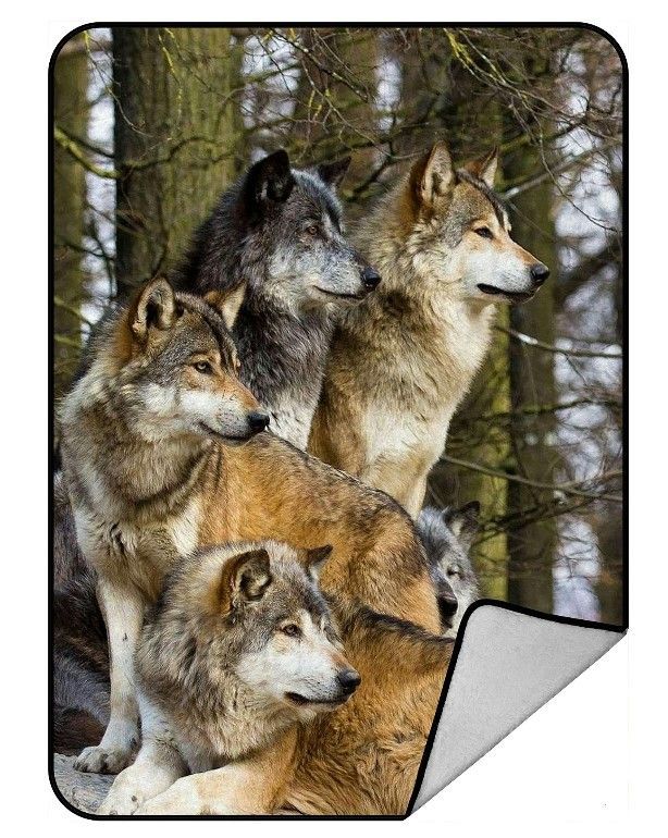 Wolf Sherpa Fleece Blanket