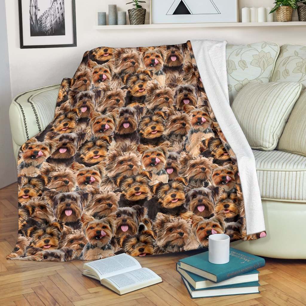 Yorkshire Terrier – Blanket – 1366