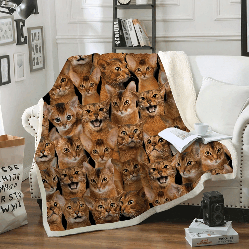 You Will Have A Bunch Of Abyssinian Cats Sherpa Fleece Blanket